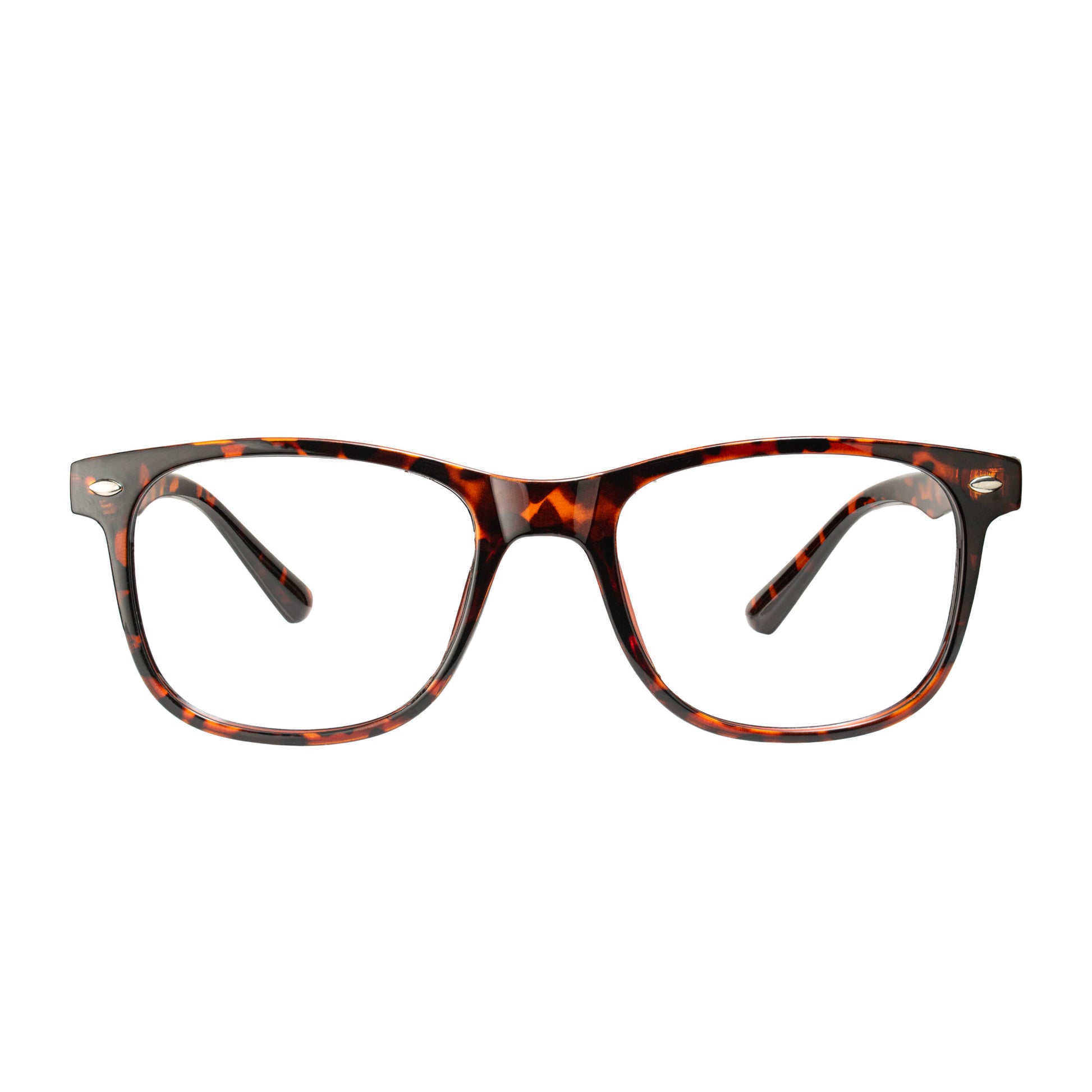 Classic Tortoise Square Glasses front view acetate full rim frame